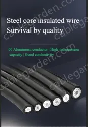 Steel core insulated wire 10KV3.4 thickness*JKLGYJ-16/3