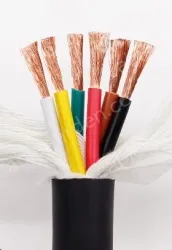 TRVV high-flex drag chain cable Multi-core special drag chain line 2 cores 1mm&sup2;